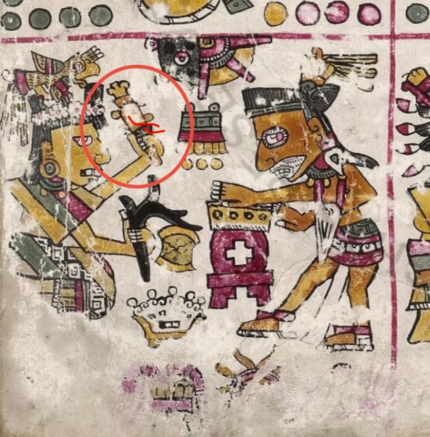 Codex Borgia page 60 — āyacachtli (sonaja rattle) circled in red, depicted in pre-Hispanic ceremonial context