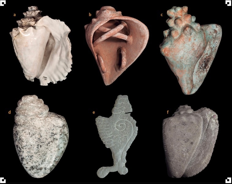 Six shell and conch artifacts from Offering 88 of the Templo Mayor at Mexico-Tenochtitlan, including queen conch shells and carved stone conch pendants, displayed against a black background